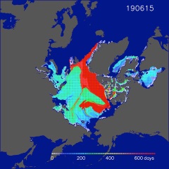 Figure 5 :2019