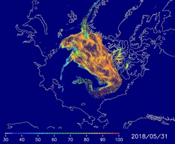 Multi-year ice distribution on May 31, 2018