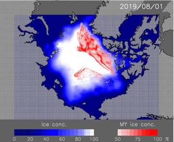Animation of the predicted sea ice cover and multi-year ice distribution.