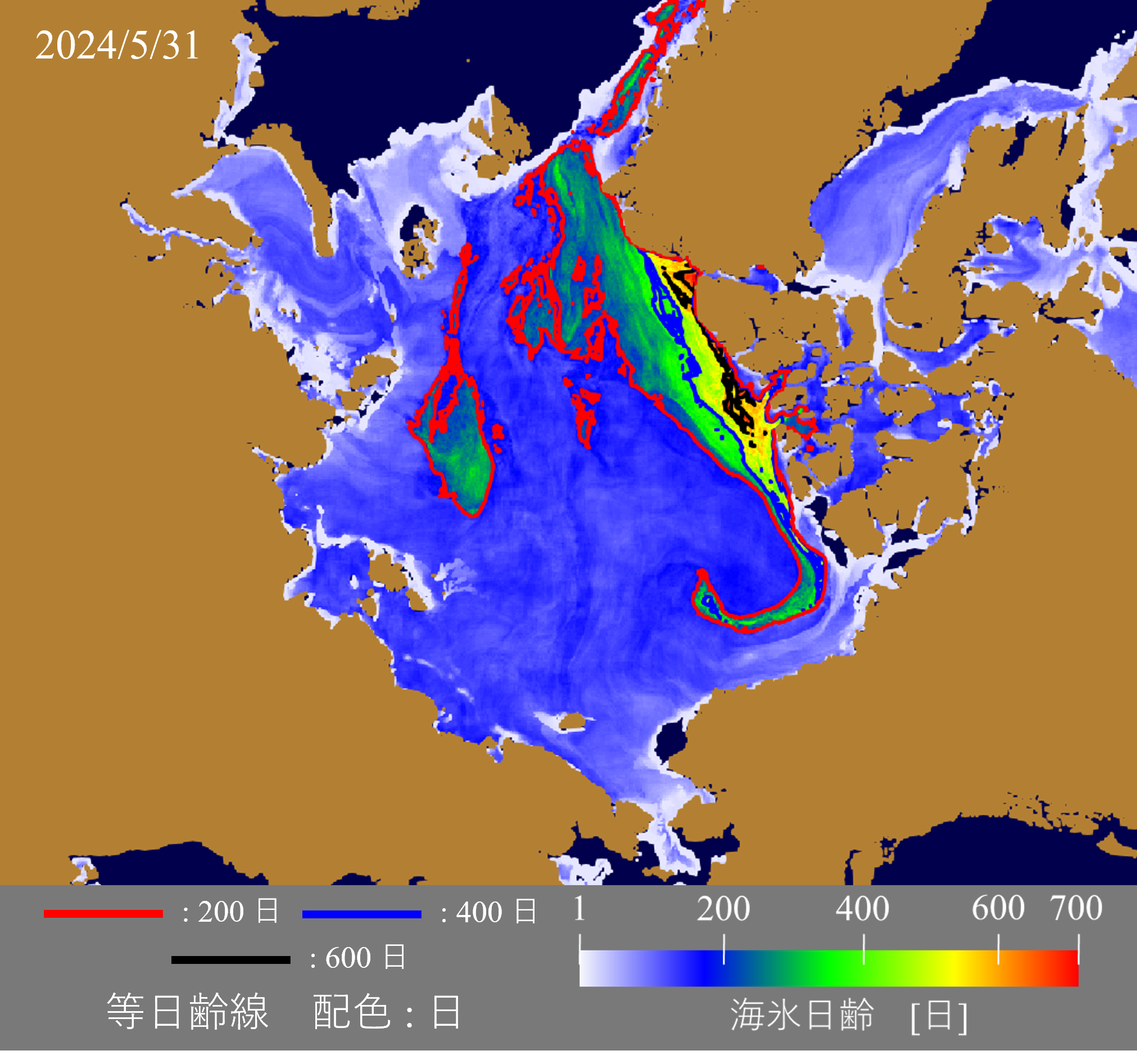 2024年5月31日の平均海氷年齢分布。