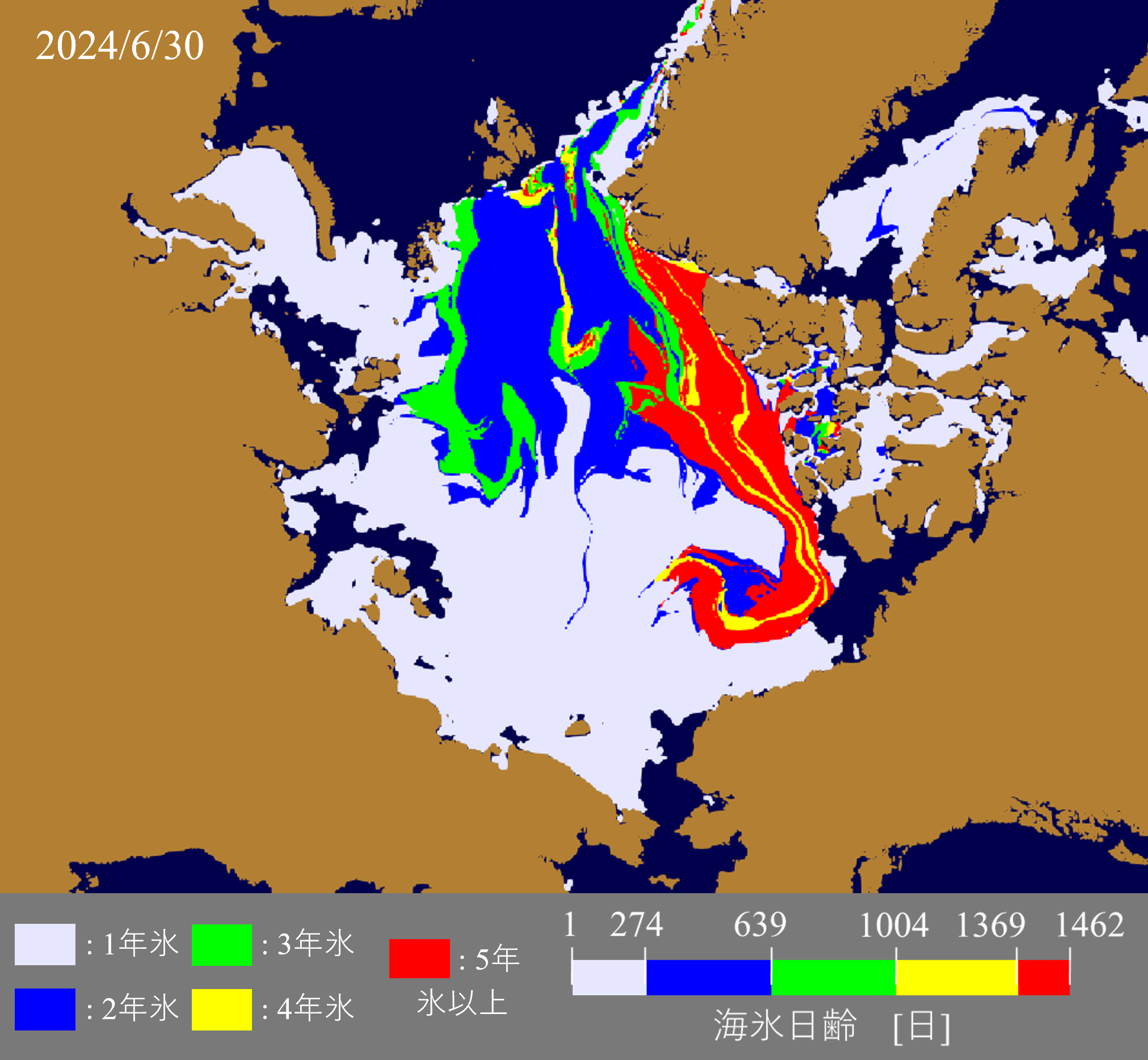 2024年6月30日の最大海氷年齢分布。