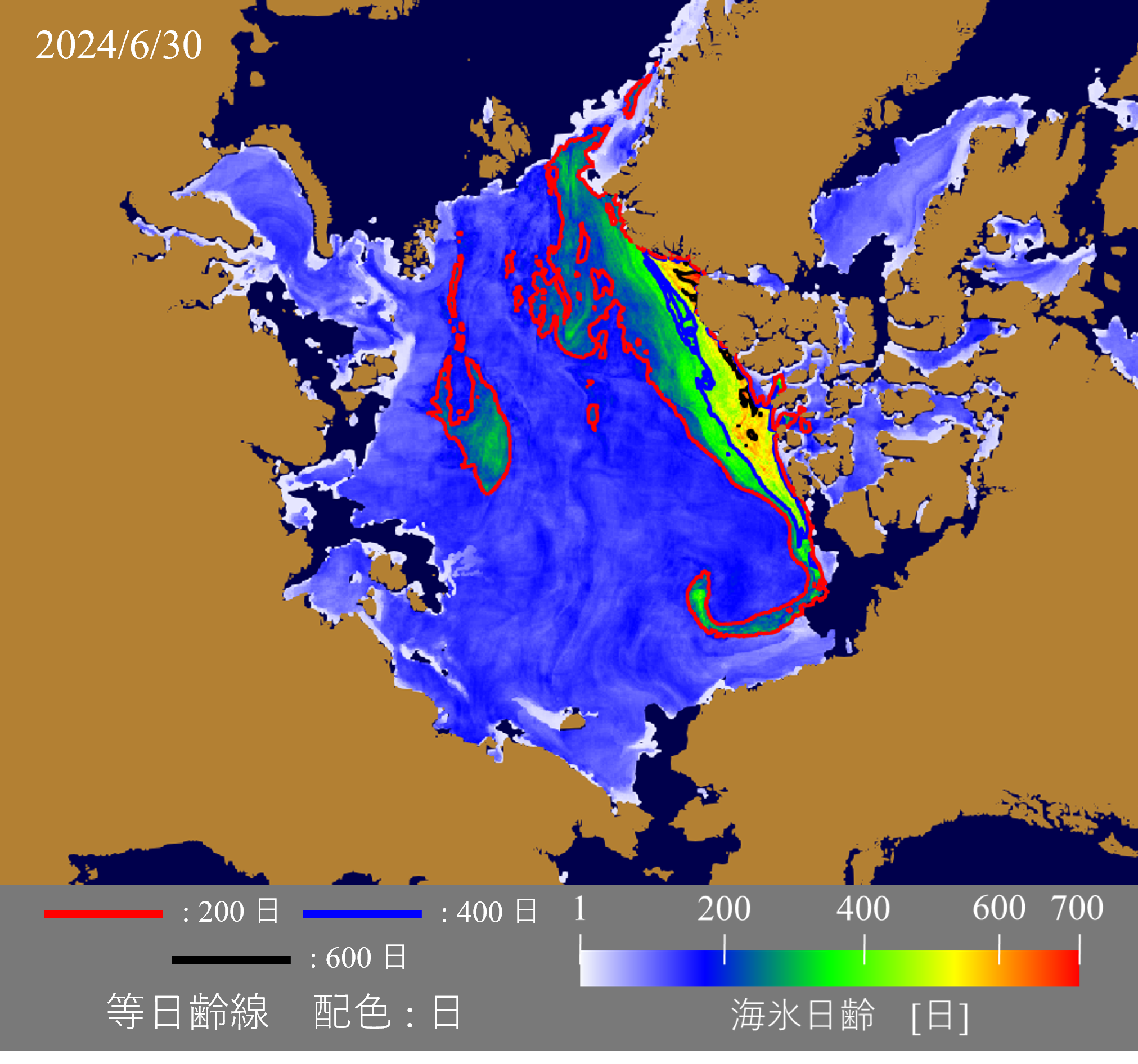 2024年6月30日の平均海氷年齢分布。